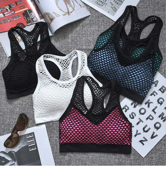New High Quality Imported Mesh Net Design Sports Bra 1620