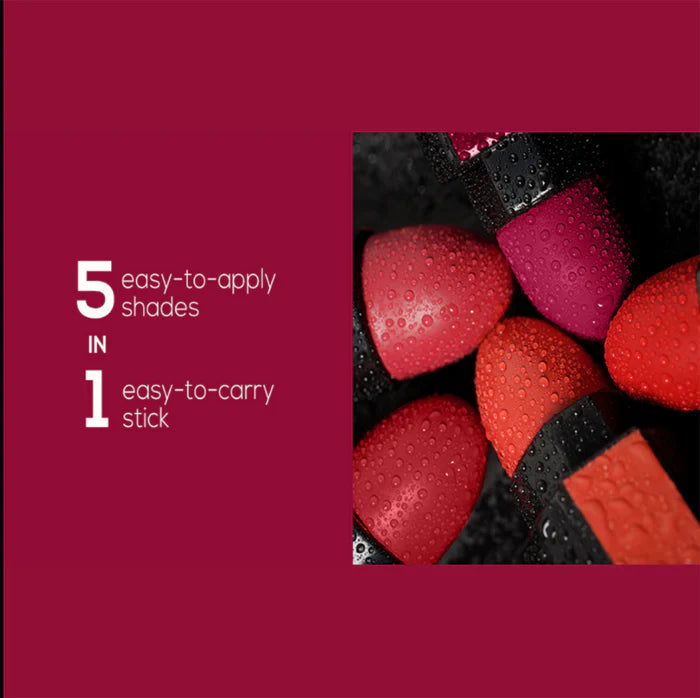 New Lipstick 5 in 1 Cosmetics - 5 Steps Matte Lipstick in 1