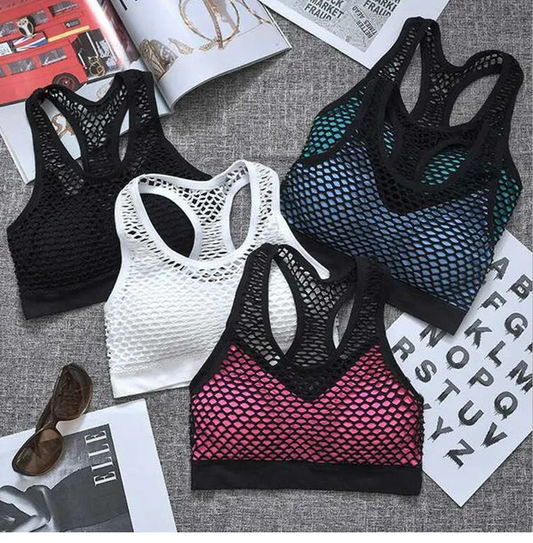 New High Quality Imported Mesh Net Design Sports Bra 1620